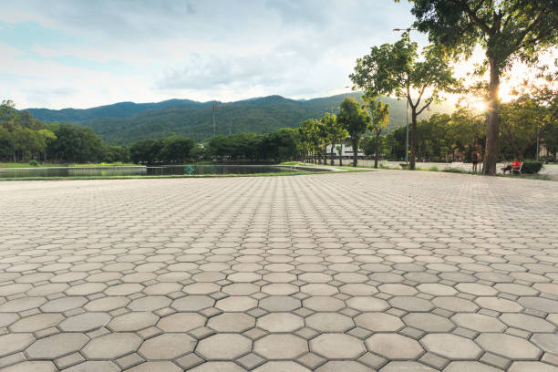 Best Residential Driveway Paver Services  in Ocala, FL